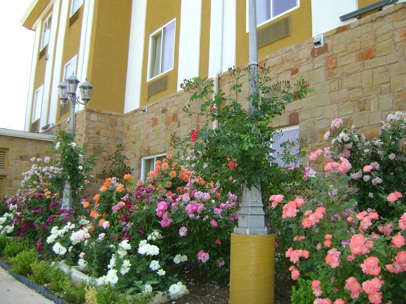 Blanco River Hotel Buitenkant foto