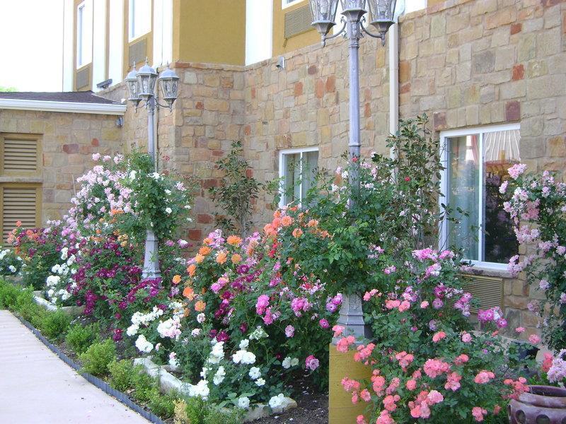 Blanco River Hotel Buitenkant foto